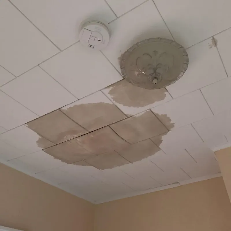 Ceiling Water Damage Repair in Mexia, TX