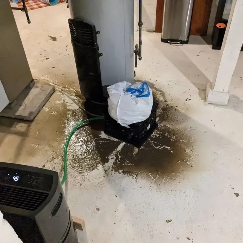 Sewage Backup Cleanup Service in Mexia, TX